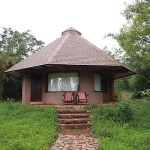 King Room Garden View